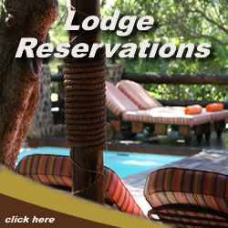 Click here for Lodge Reservations