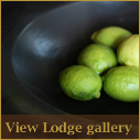 Lodge Gallery