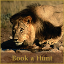 Book your hunt today